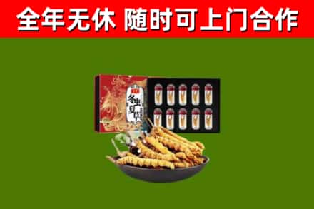 荔浦市回收冬虫夏草价格
