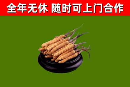 荔浦市烟酒回收冬虫夏草.jpg